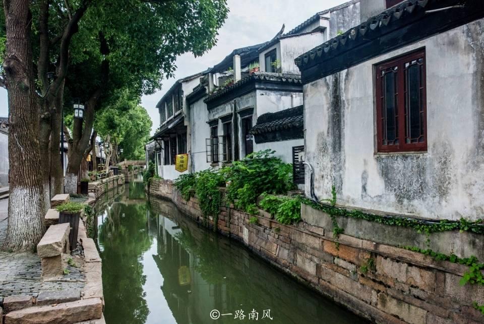 放飞笼中鸟